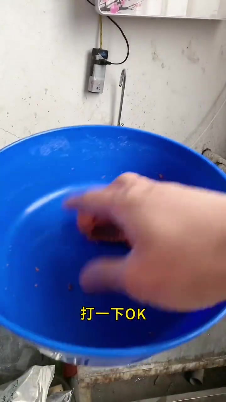 教你制作丸九复配小鲫鱼饵料