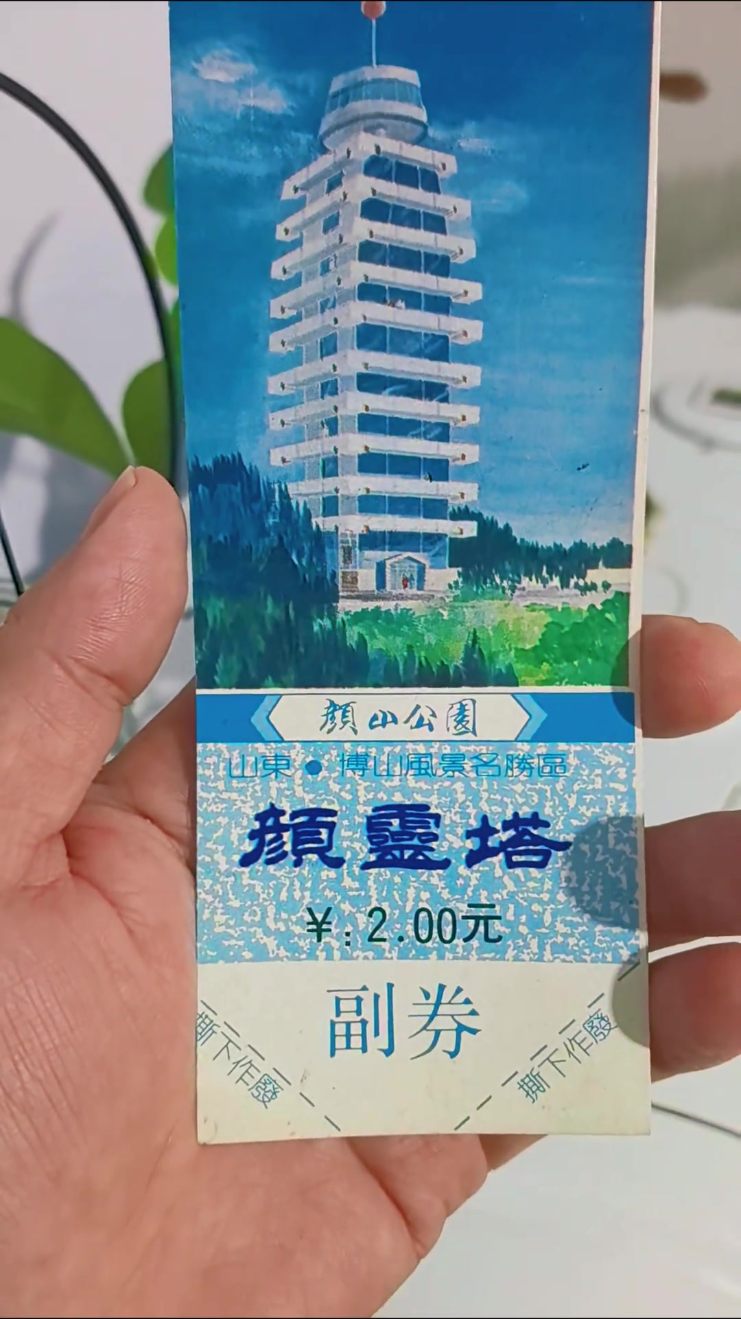 博山人捐2元建的望海楼，现在进园要收费