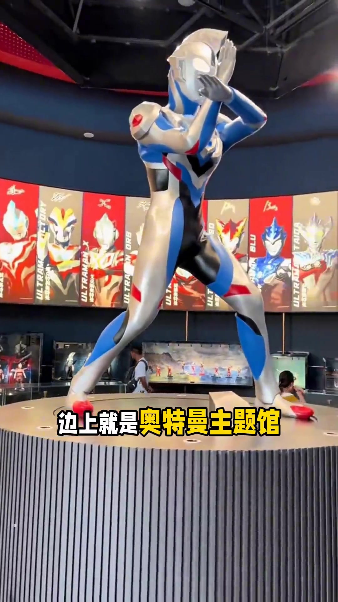 一天玩转上海海昌海洋公园，保姆级攻略