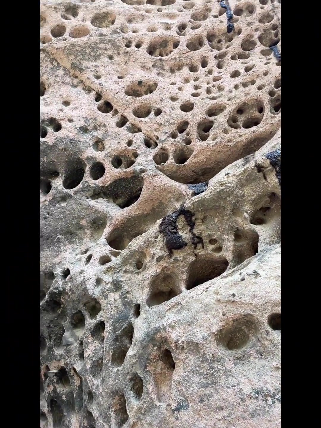 宝鸡九龙山周末爬,难度低景色挺美