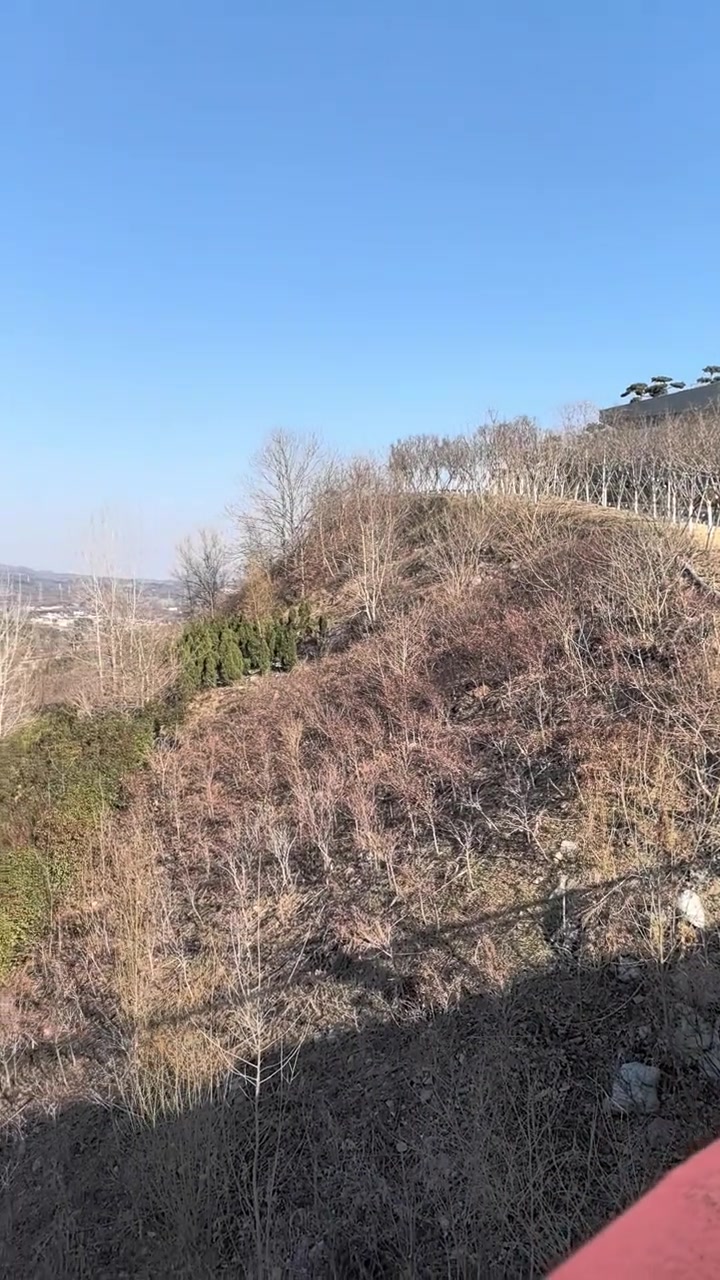 南京江宁汤山的江苏园博园,矿坑旧址变身超美景点