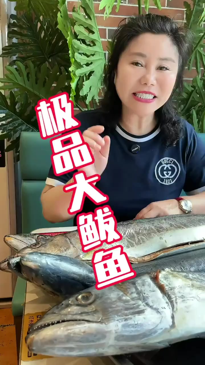 极品大鲅鱼