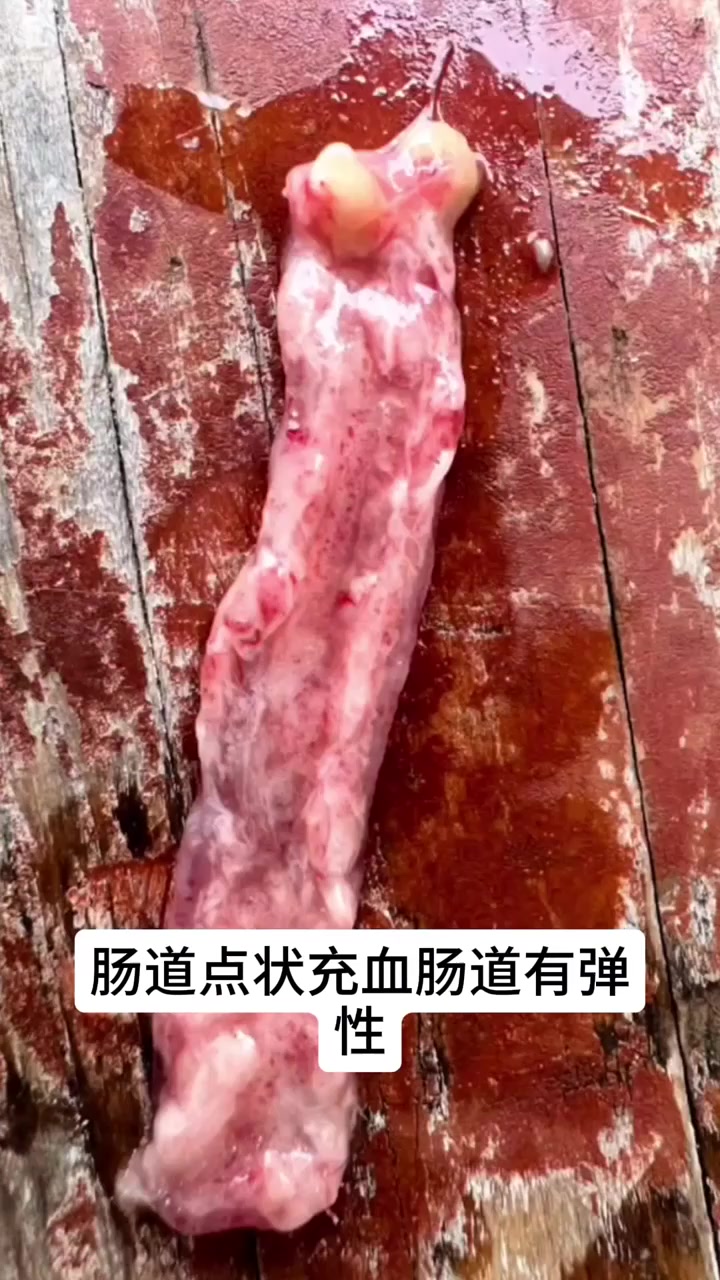 草鱼病毒性出血病如何减少损失