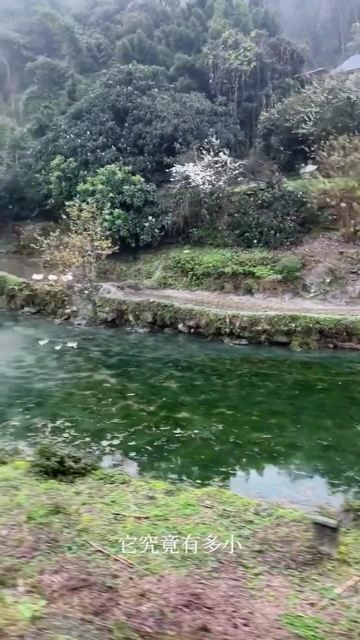 乐山犍为藏着世界唯一运营的窄轨蒸汽小火车