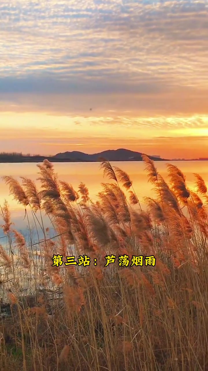 三门峡赏天鹅两天一晚超详细攻略