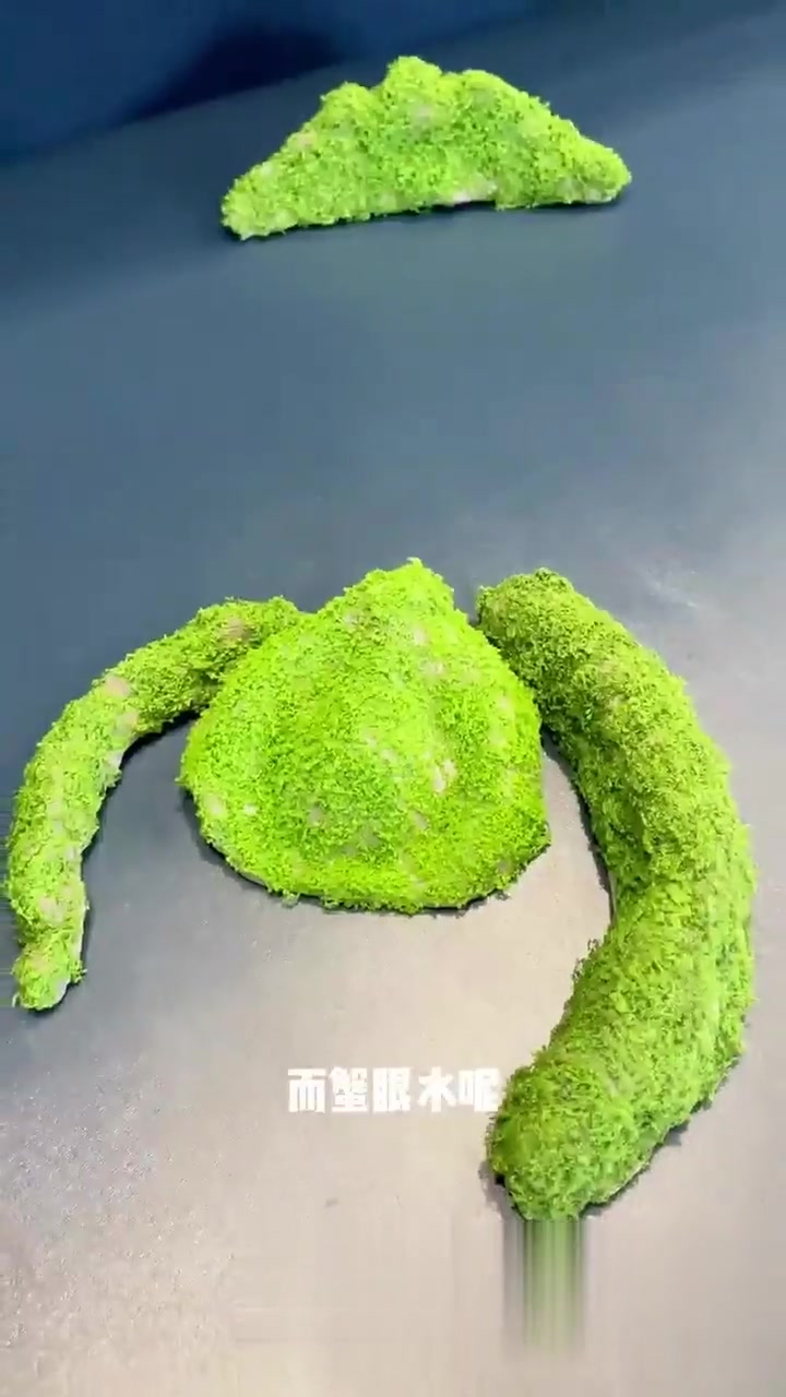 虾须蟹眼金鱼水