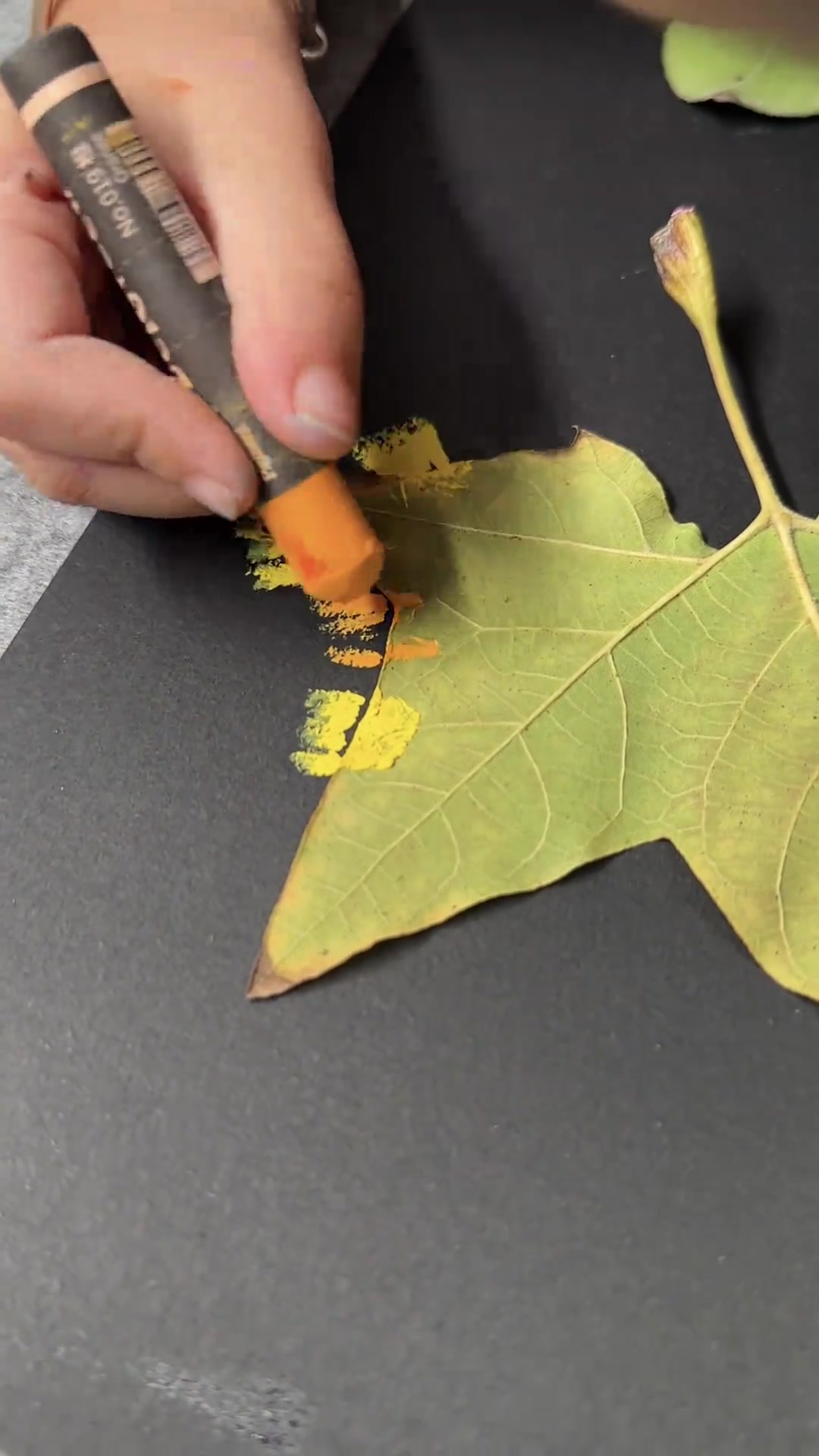 秋天带孩子做发光树叶画，超有趣！