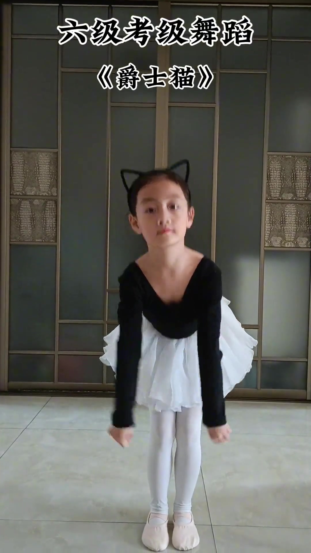 三只小猫喵喵喵的考级舞蹈