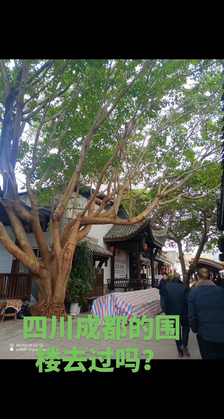 成都洛带古镇博客楼像大鱼海棠里的土楼
