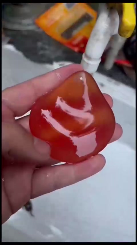 大青鱼上颚软骨即青鱼石，也叫鱼惊石，曾为富贵儿童佩戴