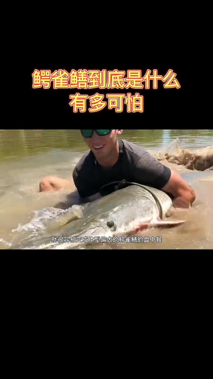 鳄雀鳝到底是啥？它为啥这么可怕？