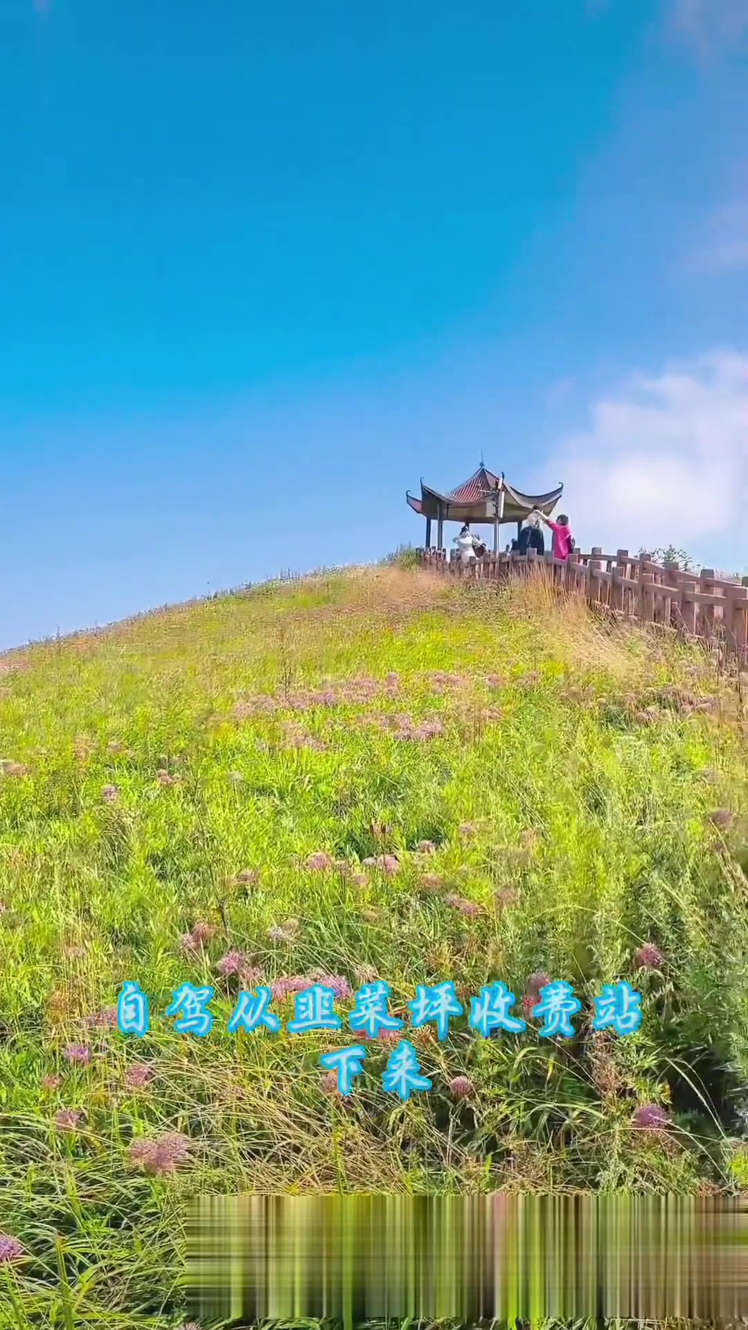 贵州韭菜坪八九月份，一望无际的韭菜花海超美