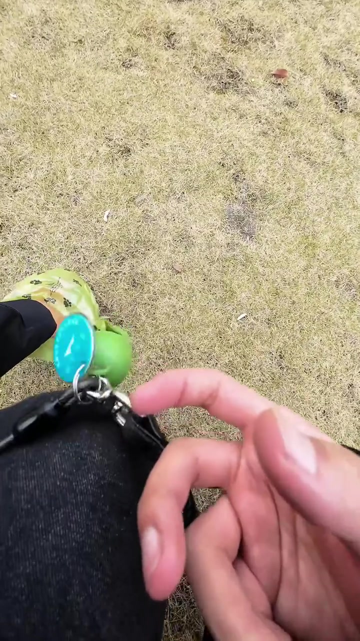 红糖馒头狗真不能吃
