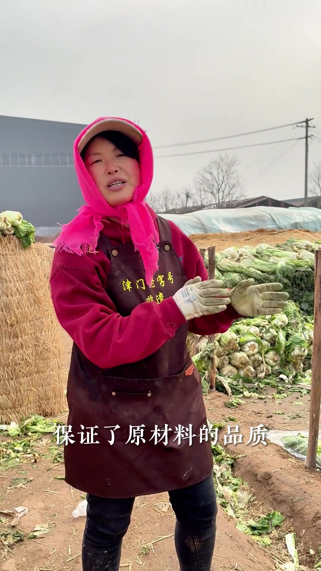 天津市静海区产地直供,农户用心种植
