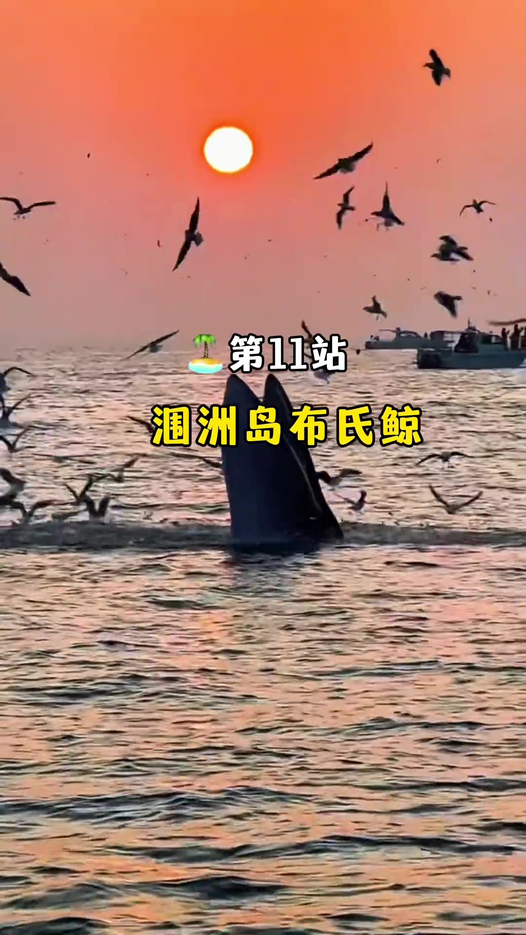 去北海必打卡的15个景点，没去等于白来
