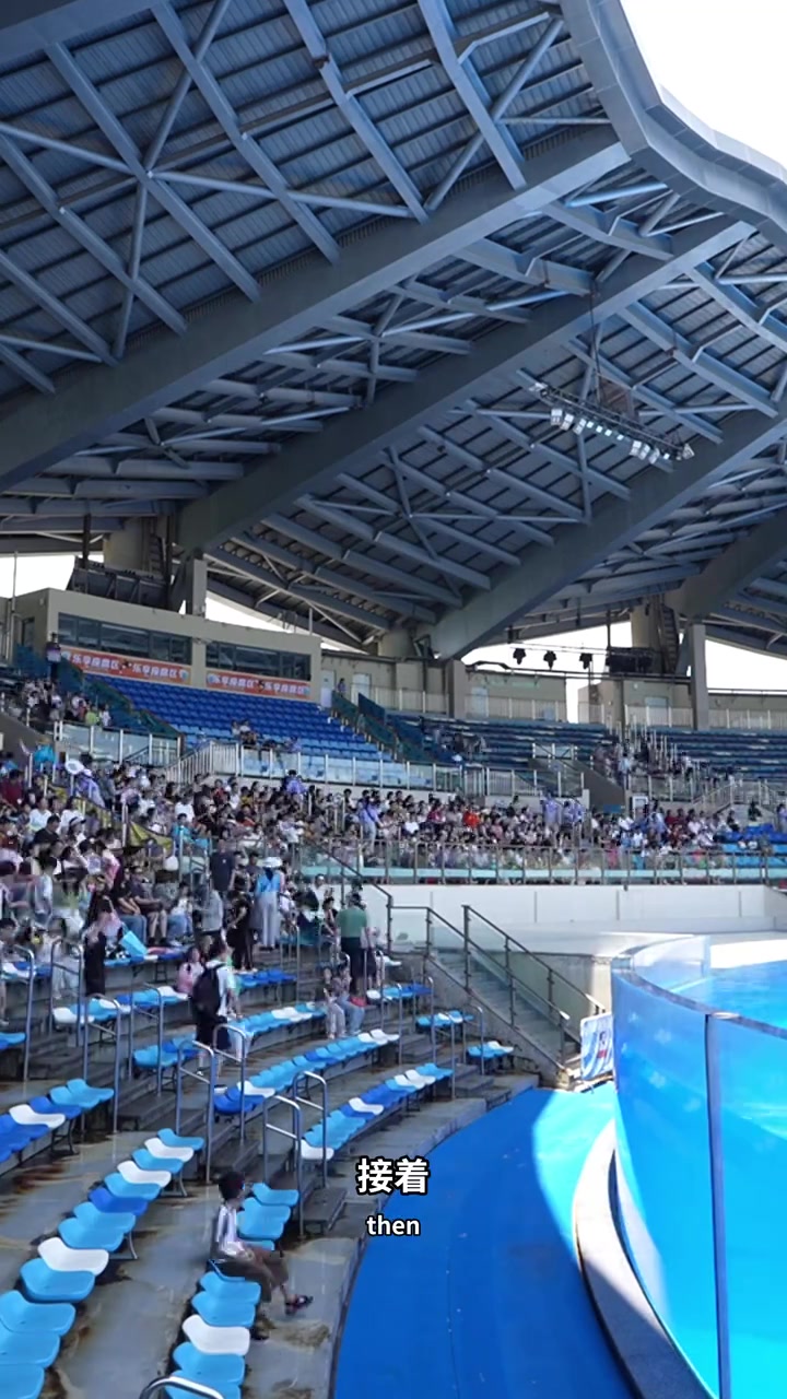 呼声高的上海海昌海洋公园攻略，烟花虎鲸都有