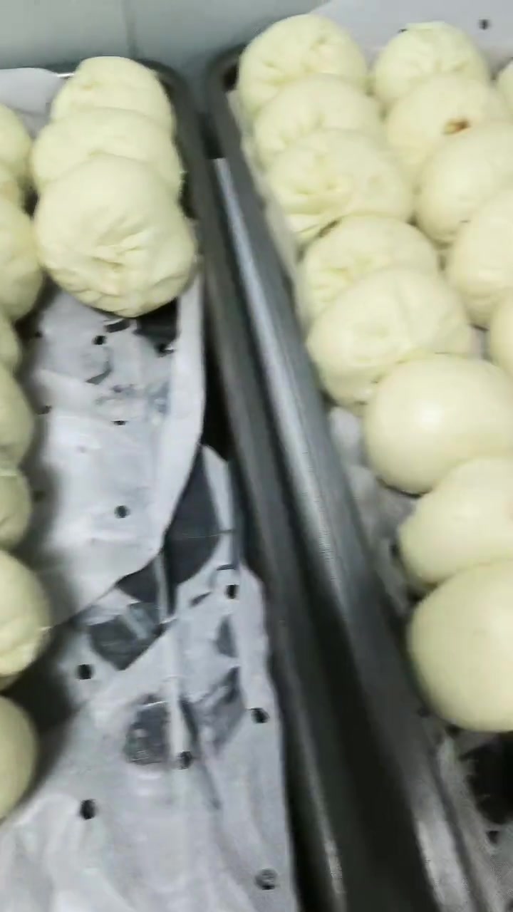 自制香喷喷的包子，肉包咸菜包等任你选