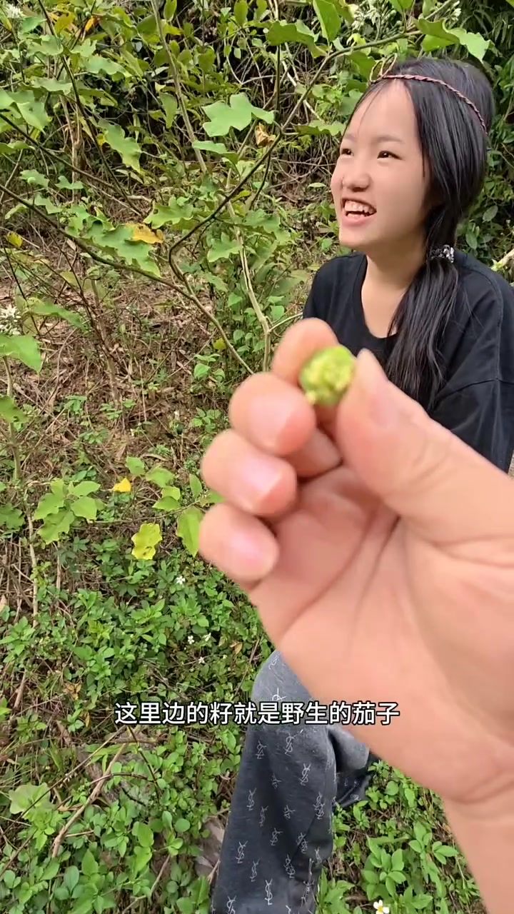 师父带着徒弟来山里摘野菜，还有不知道名字的野菜，你们知道这是什么菜吗 #又到了吃野菜的季节