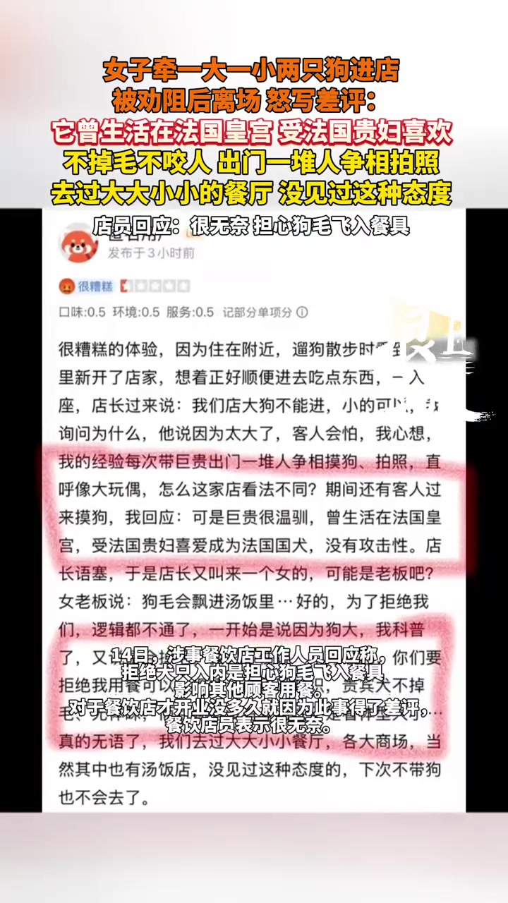 女子牵两只狗进店被劝阻离场怒写差评:它曾生活在法国皇宫