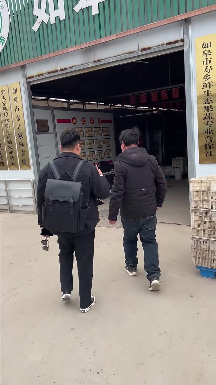 寻味煲王如皋蔬菜基地，粤菜餐厅合肥美食食材溯源