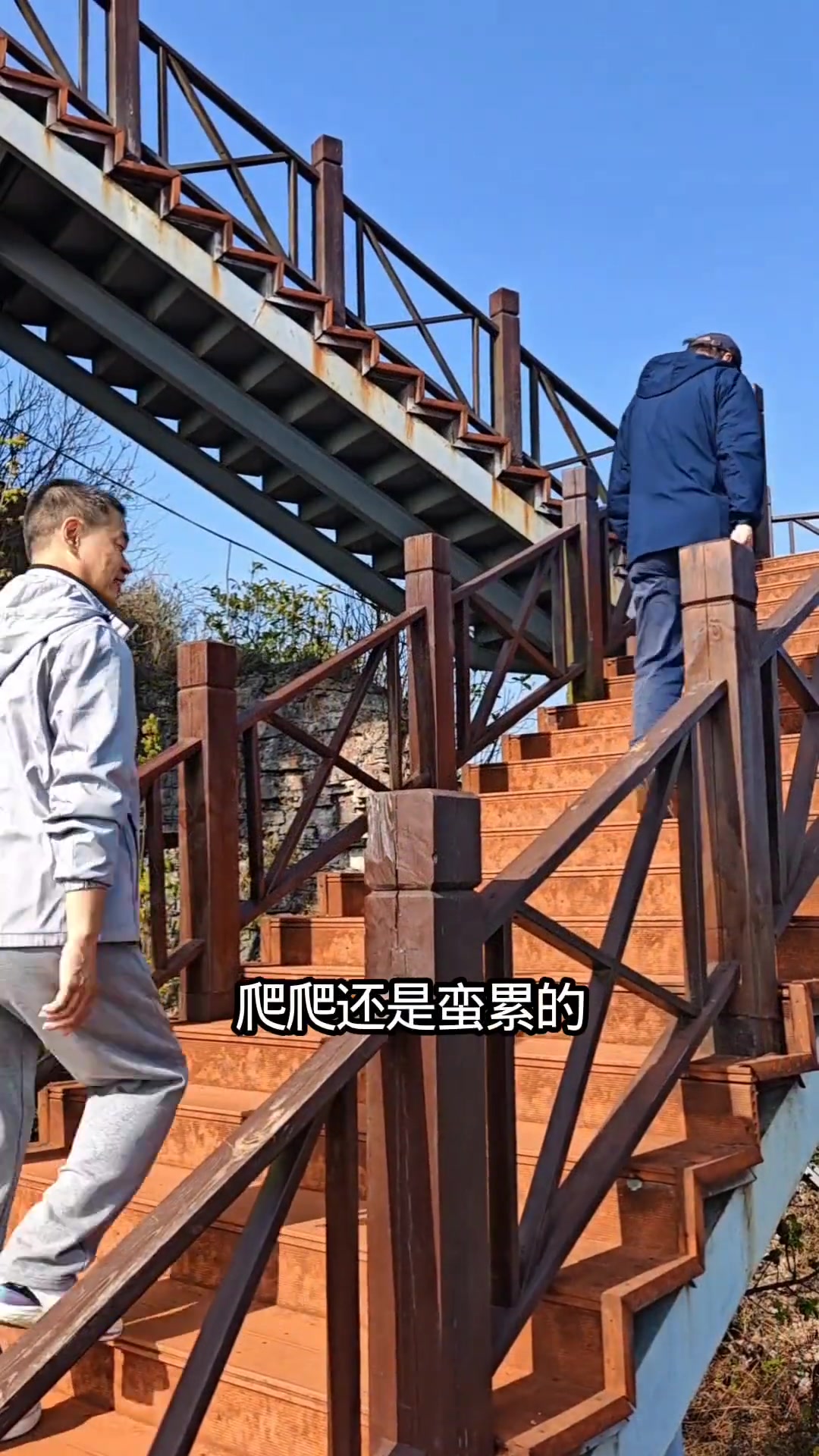 罗平金鸡峰丛的油菜花谢了，现在都绿了