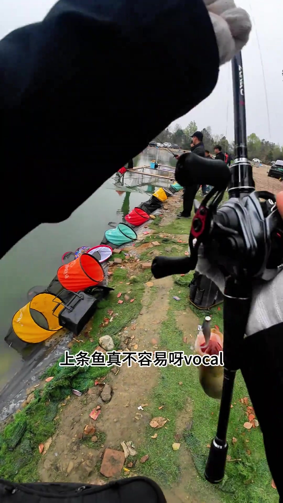 成都黑坑路亚,鳜鱼今日最爱吃什么?