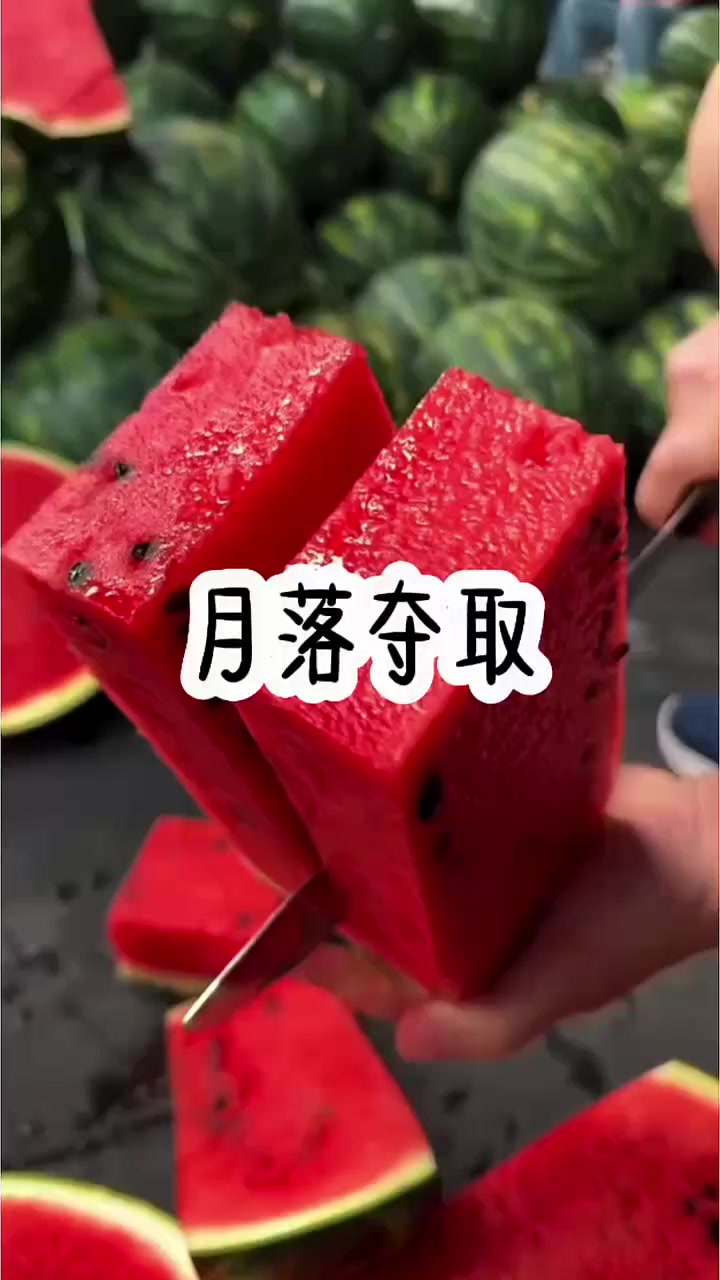 第1集｜《月落夺取》#盗墓笔记 #老铁知识百科 #老铁全球观影指南 #巡乐环游记