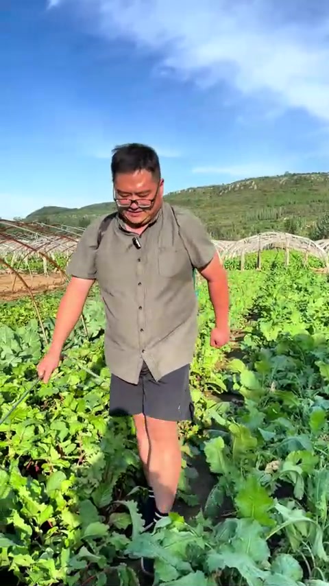 萝卜大包子味道非常好！