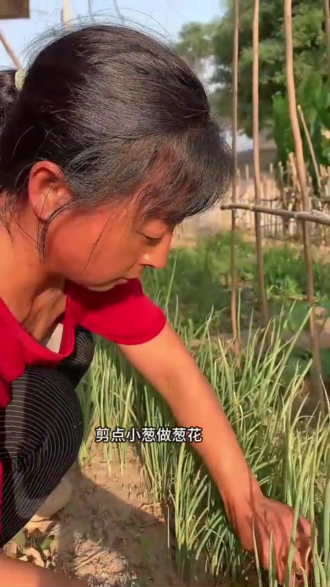 又解锁一个新的饺子馅儿