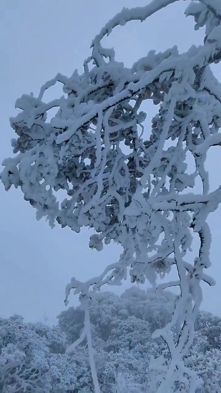 大理鸡足山的三年之约,心之所念皆能如愿