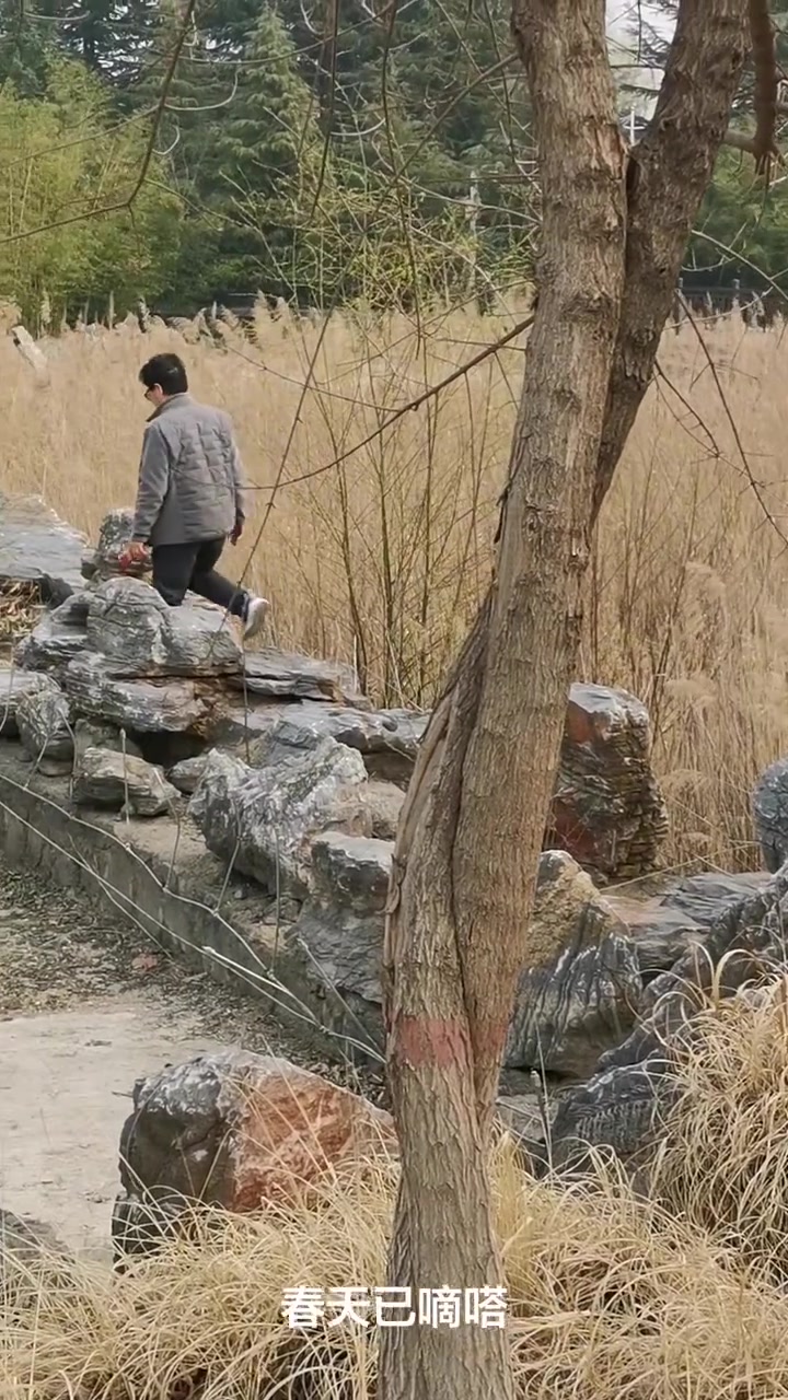 三门峡天鹅湖现场实拍,这自然奇观太震撼