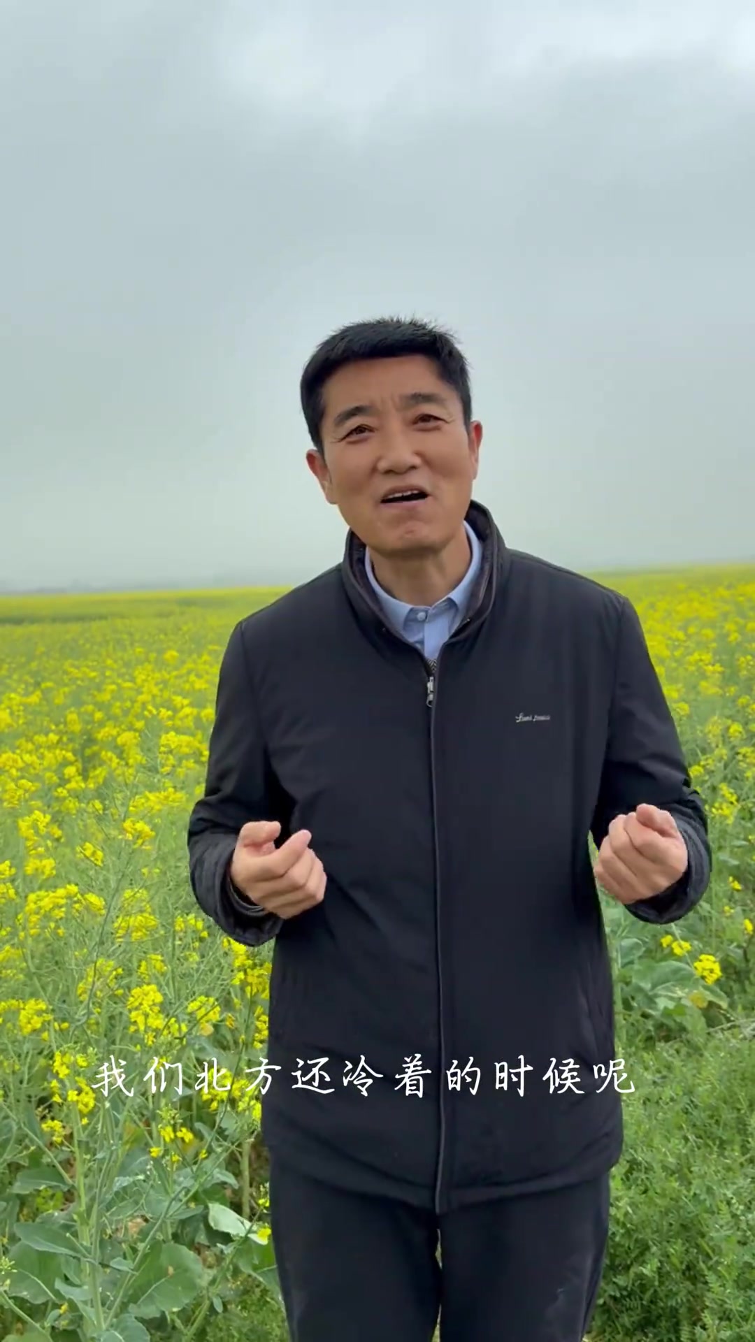 从陕北到云南罗平 万亩油菜花太震撼