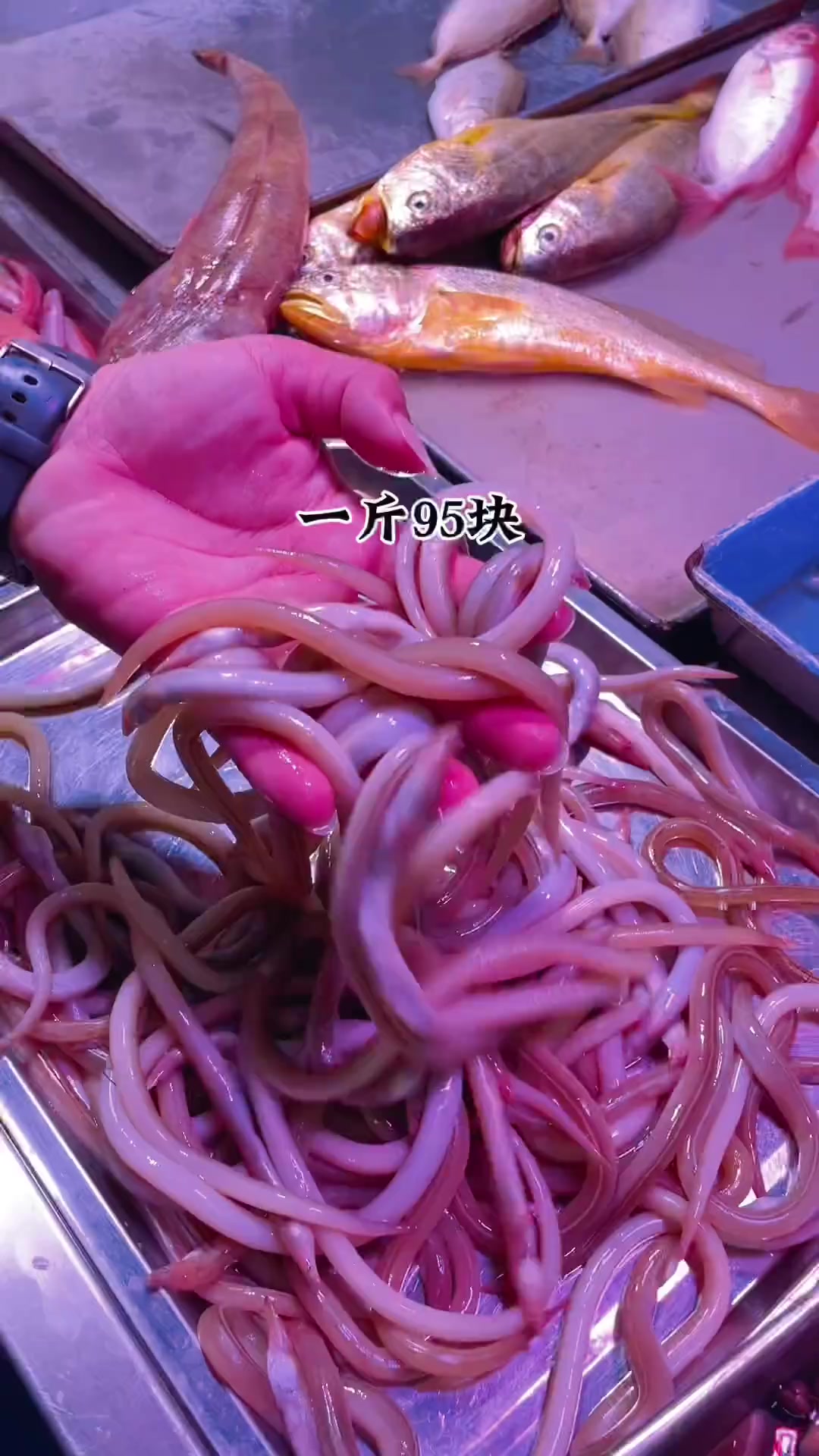 潮汕菜脯用途广，麻根鱼配它是绝配
