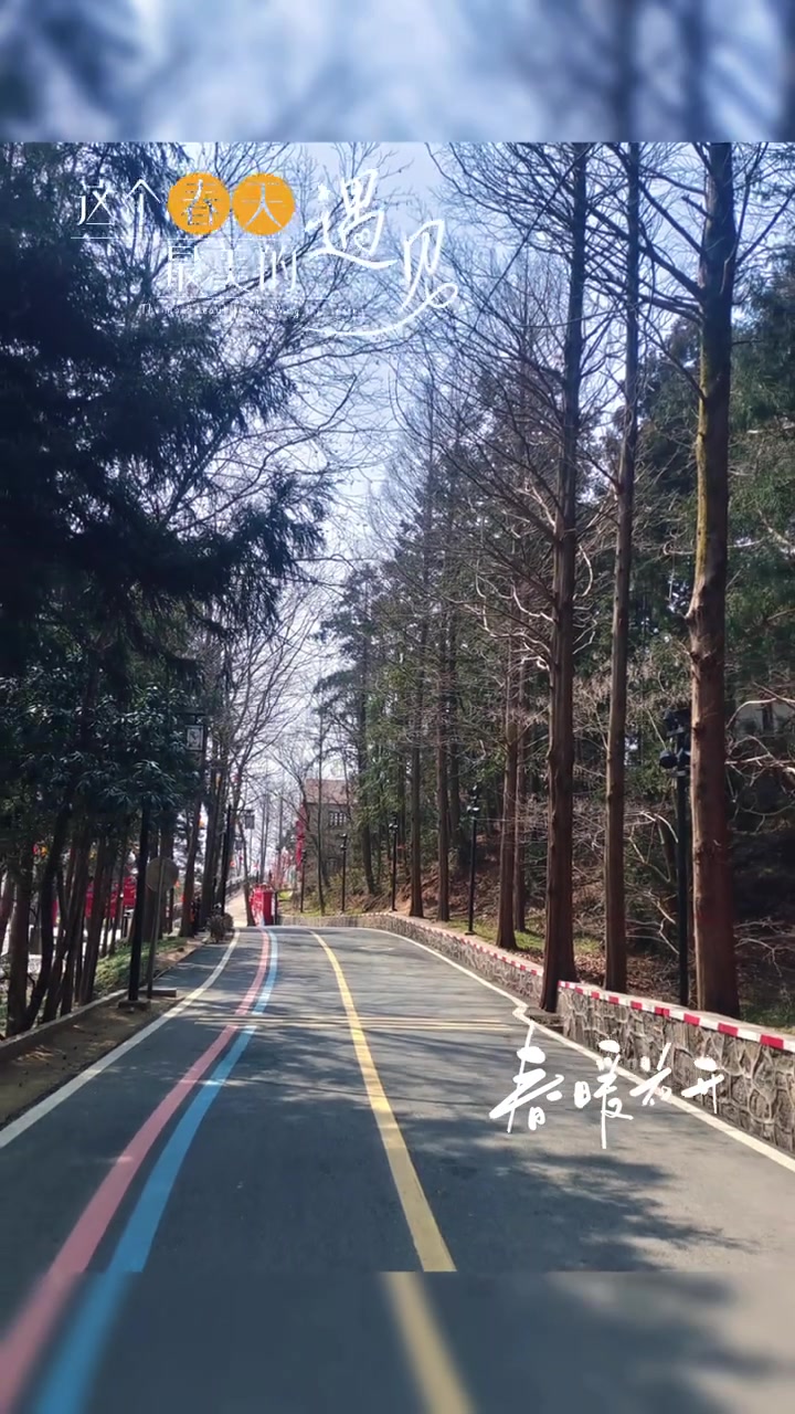 信阳鸡公山,上班上进都不选,我选上山看风景