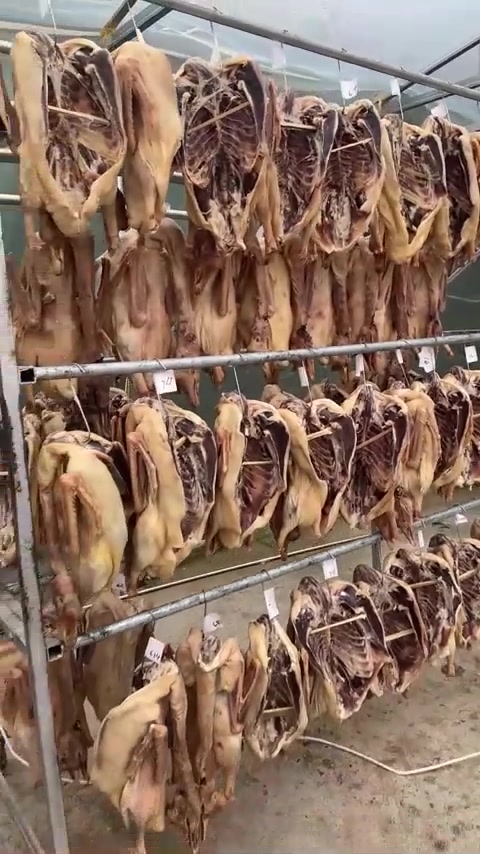 皖西大白鹅香的很