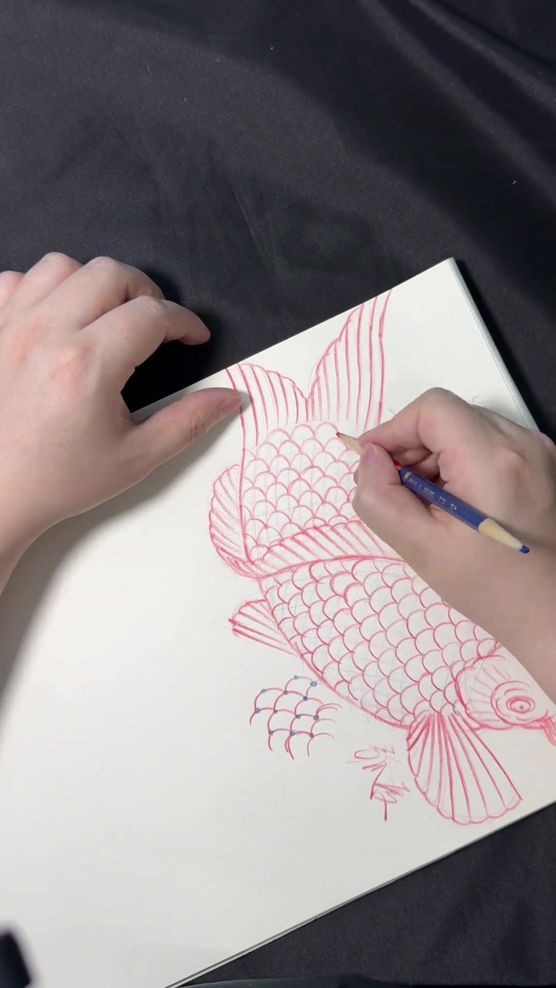 学纹身画鱼3.0,新手学完不迷茫