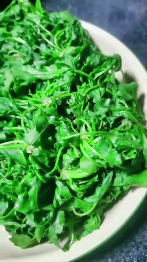 自己种的荠菜就是不一样