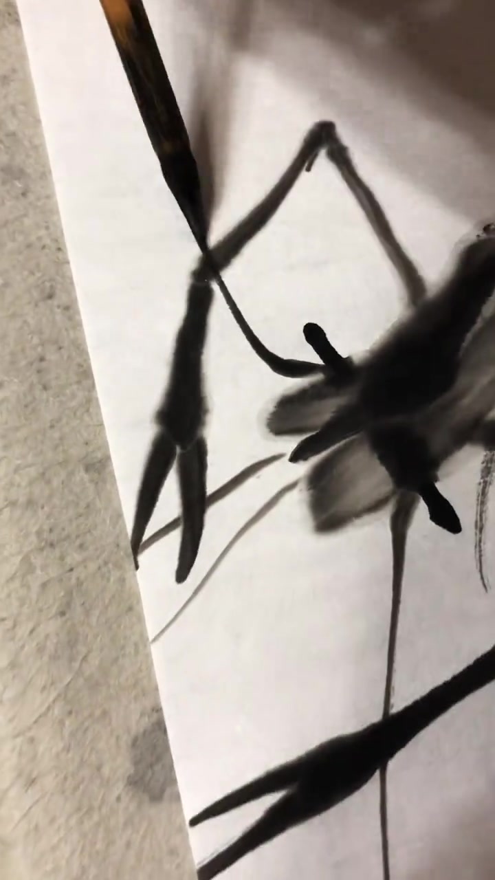 齐白石画虾怎么学?简单技巧分享
