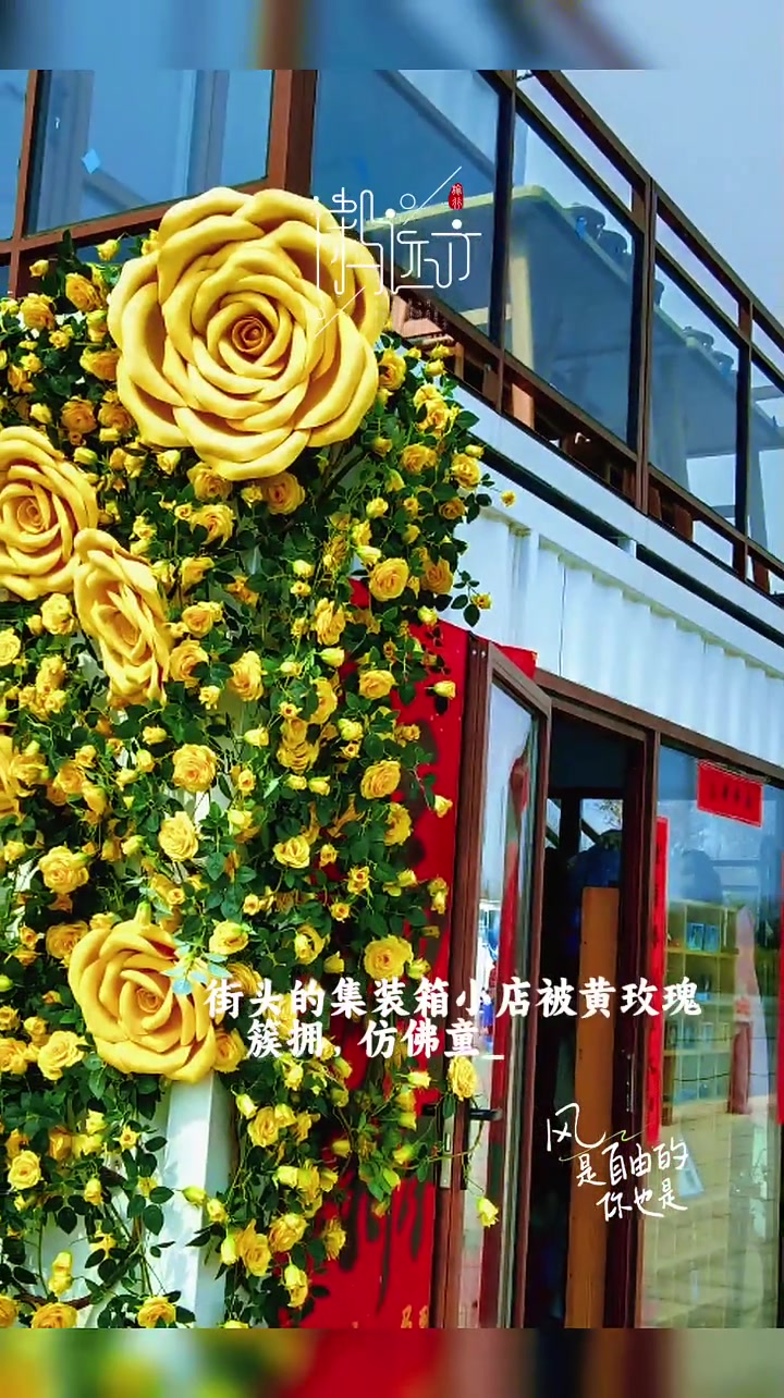 三门峡天鹅湖公园,慢下来享受自然的美好