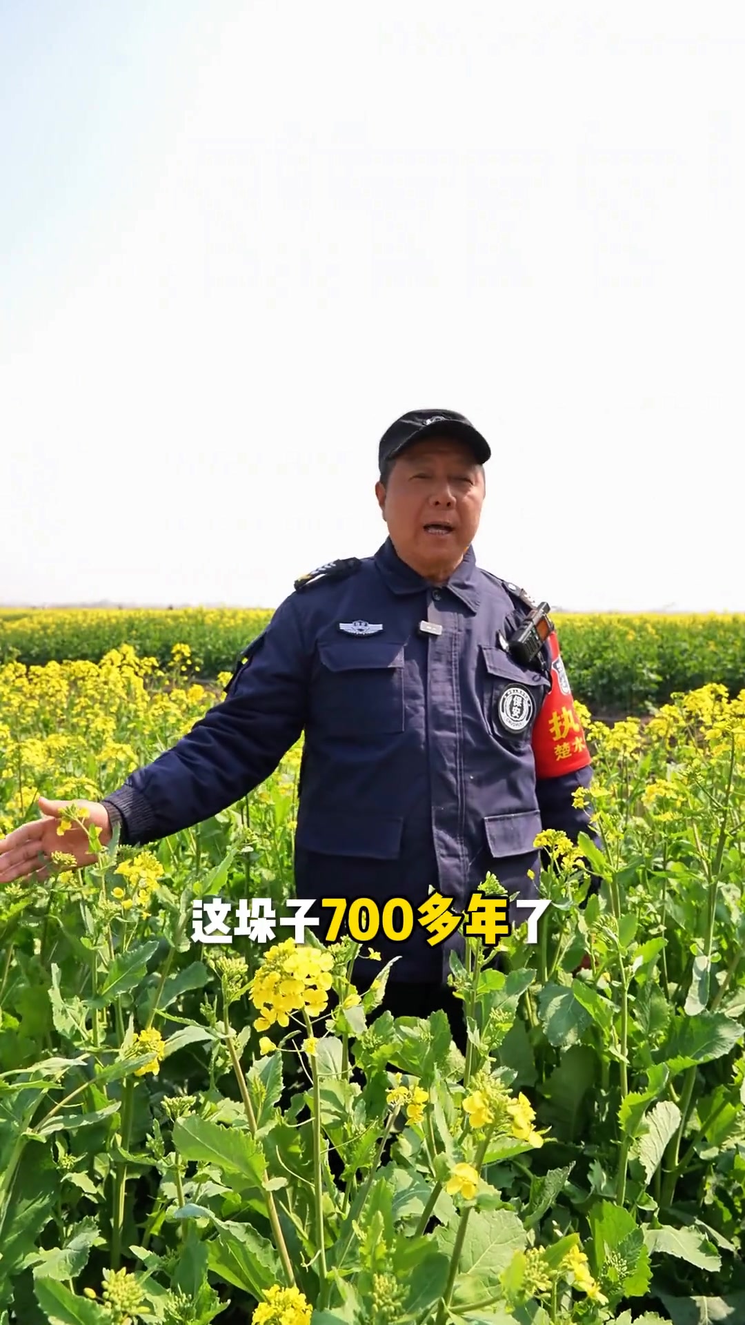 兴化千垛油菜花开花啦,挺适合旅游的