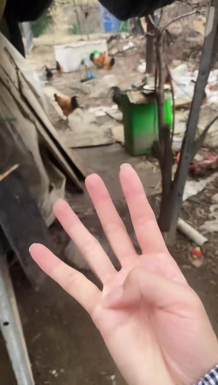 农家风味，枣庄辣子鸡与临沂炒鸡，真空包装！