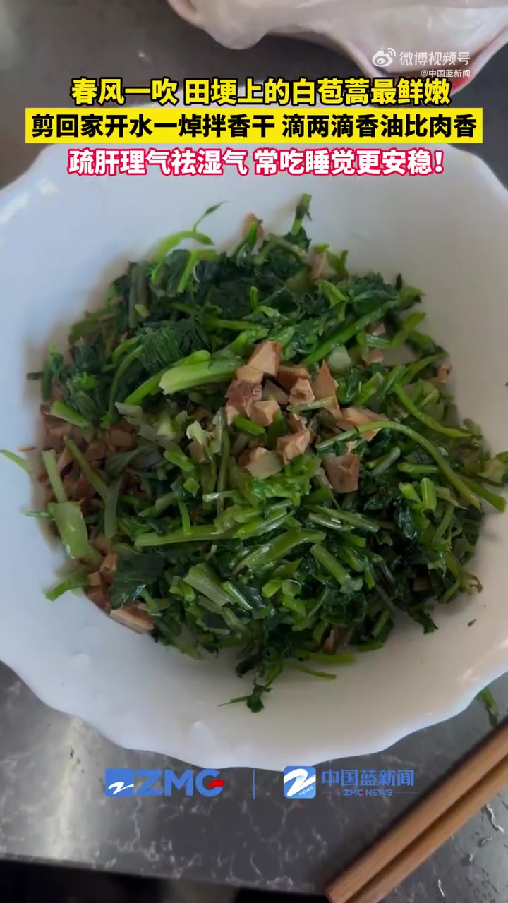 「#认野菜挑战白苞蒿你认识吗#」#浙里有春日滋味#春天挖野菜,别只知道荠菜马兰头!白苞蒿也