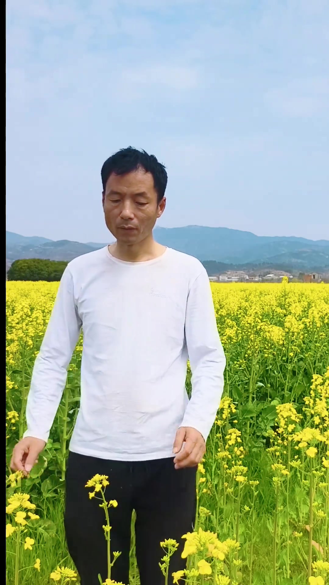 #油菜花田包出片的 #拍照姿势#油菜花#春天#花海拍照