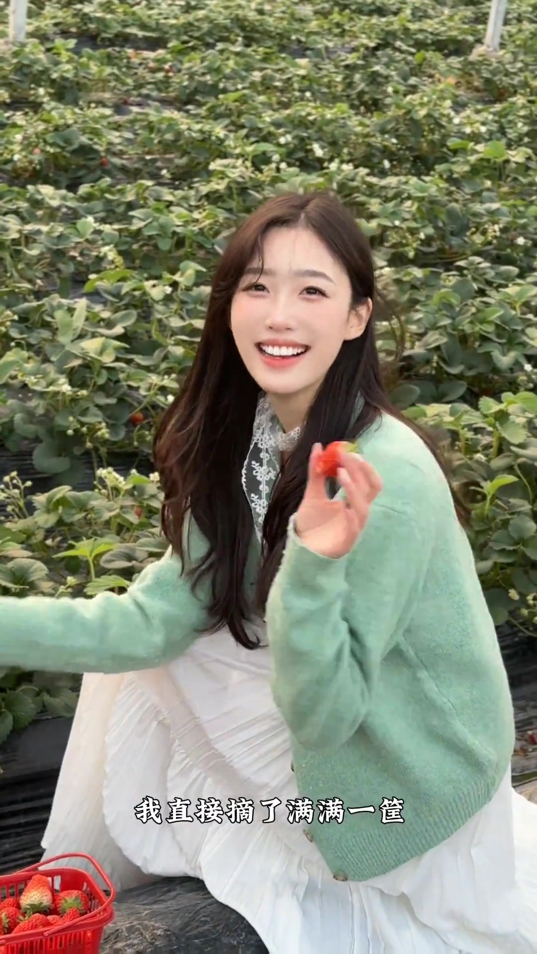 上虞春日踏青攻略 覆卮山油菜花梯田超美