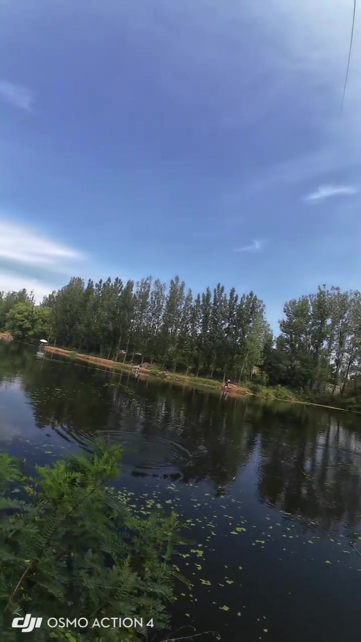 钓不同鱼要选啥鱼钩?钓鱼技巧科普