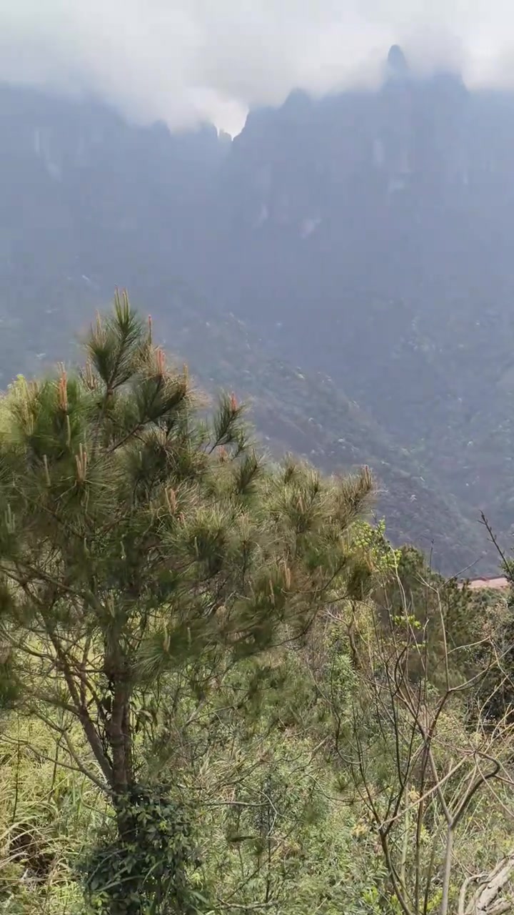荔浦金雷鱼鳞坝绝了！层层水瀑超治愈
