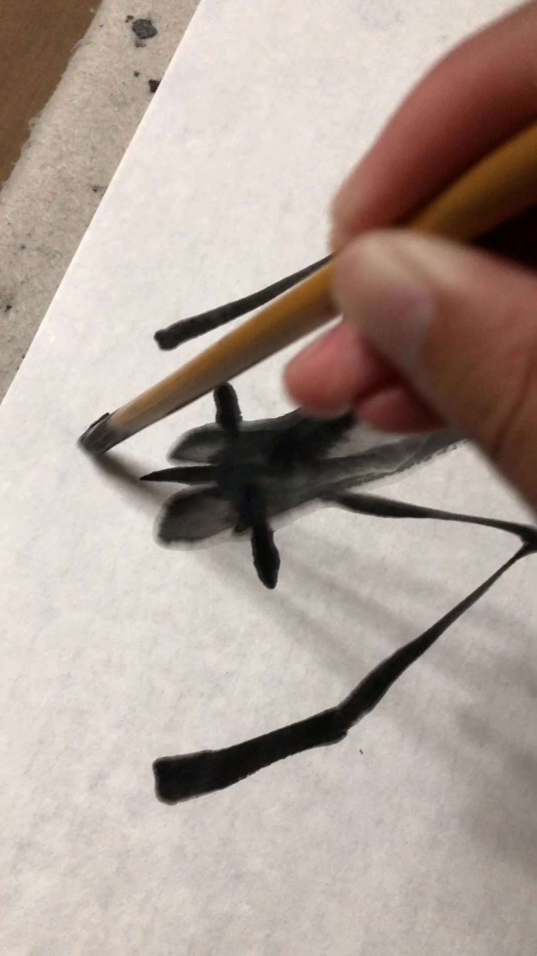 齐白石虾的画法,新手也能轻松学会