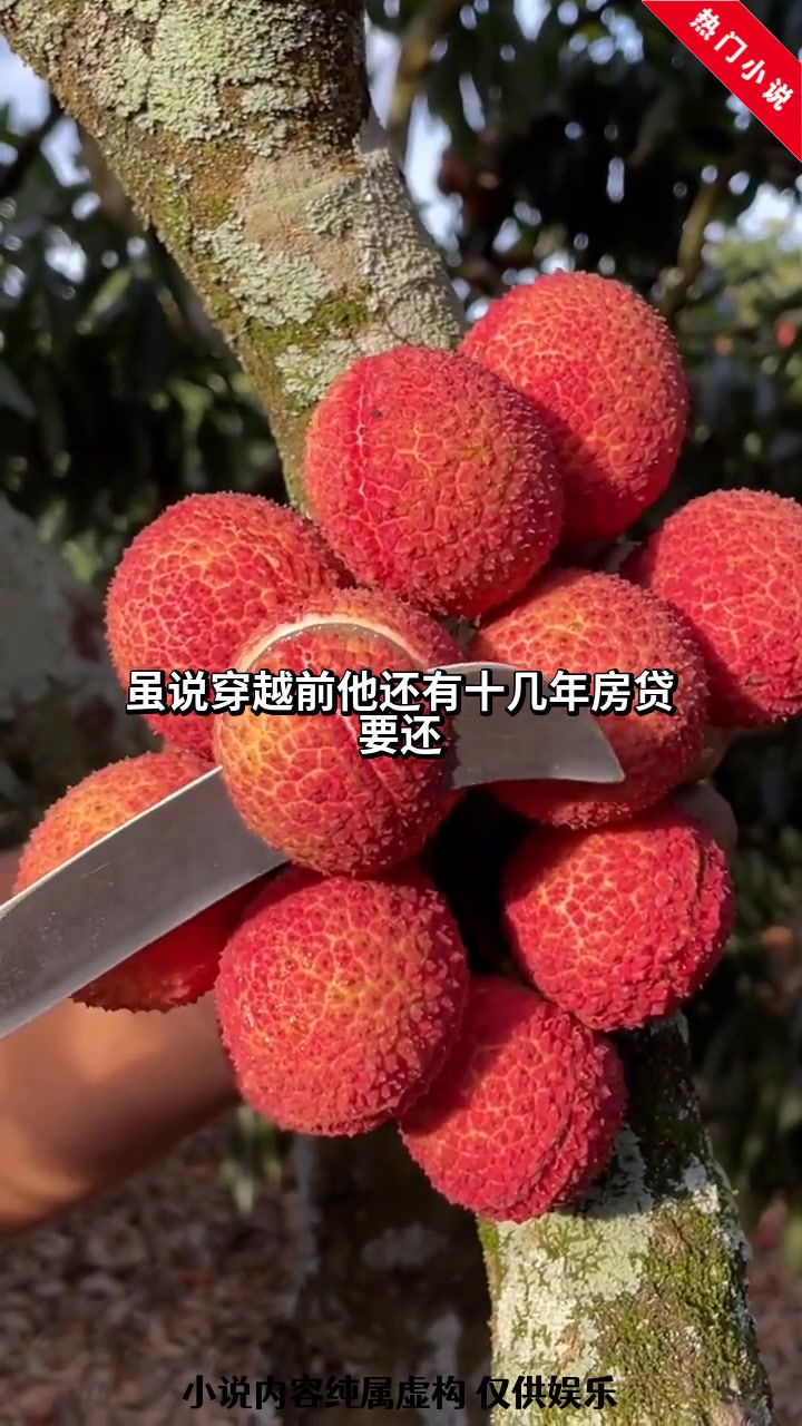 四合院之我开局就报警