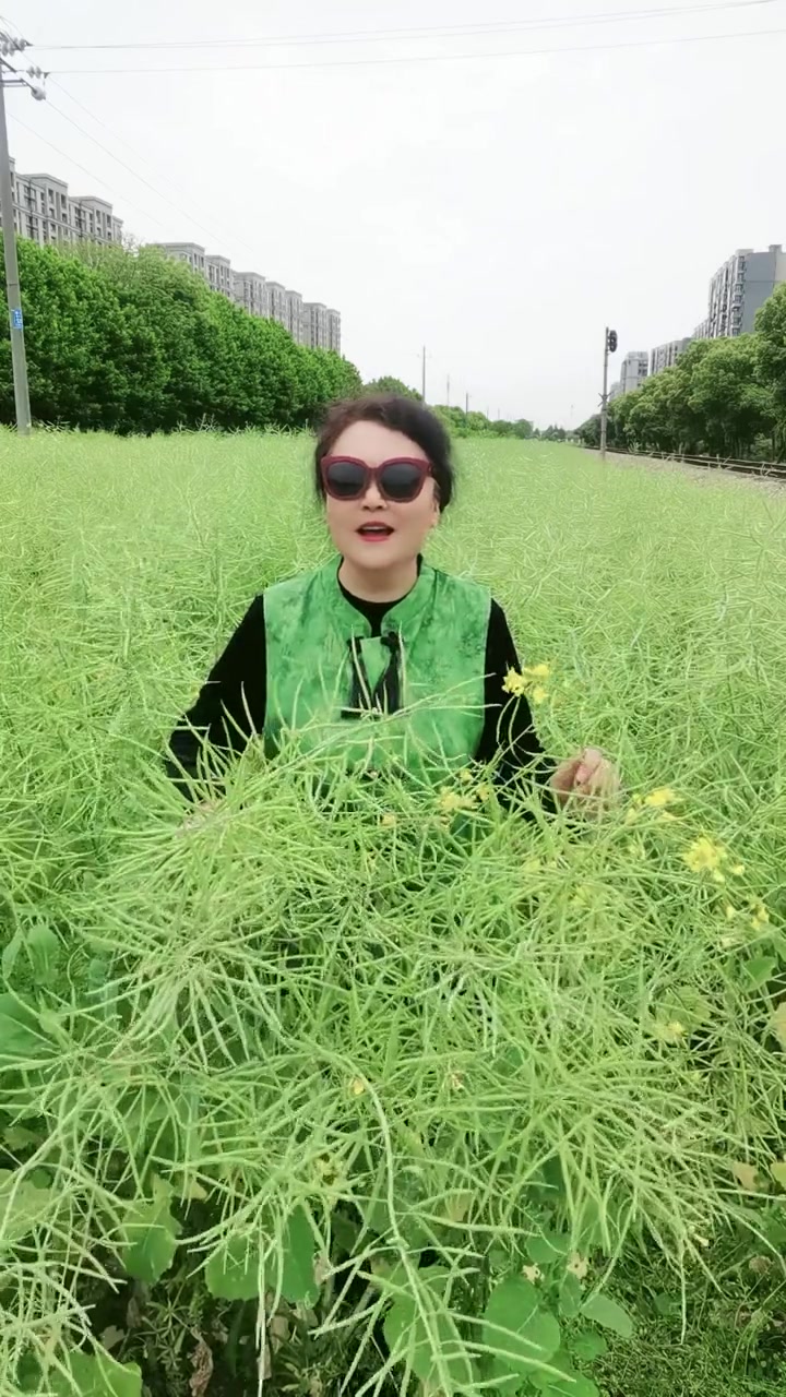 来时候满地油菜花现在成熟了,时间过得真快