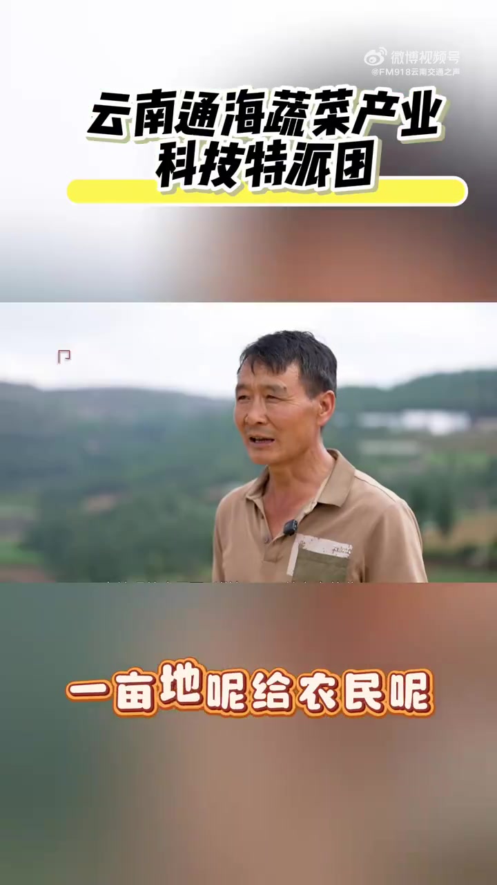 种菜也玩科技风?通海蔬菜靠双零种植强势出圈,解锁有机农业新姿势!#我是云南科技特派员# #